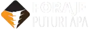 Foraje Puturi Apa