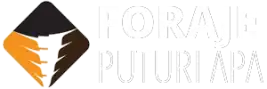 Foraje Puturi Apa